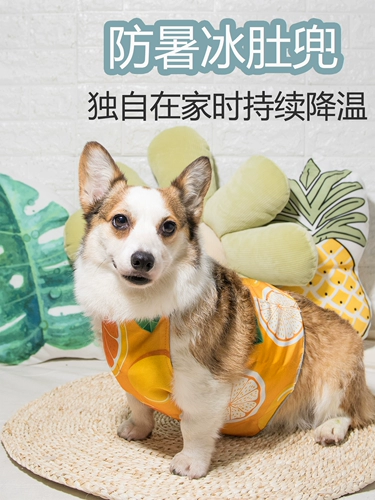 Коротко -летняя собака летнее охлаждение прохладное холодное пальто