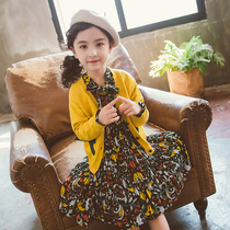 Girls autumn dress new style 5 little girl dress sweater chiffon skirt set 8 children princess dress two-piece set