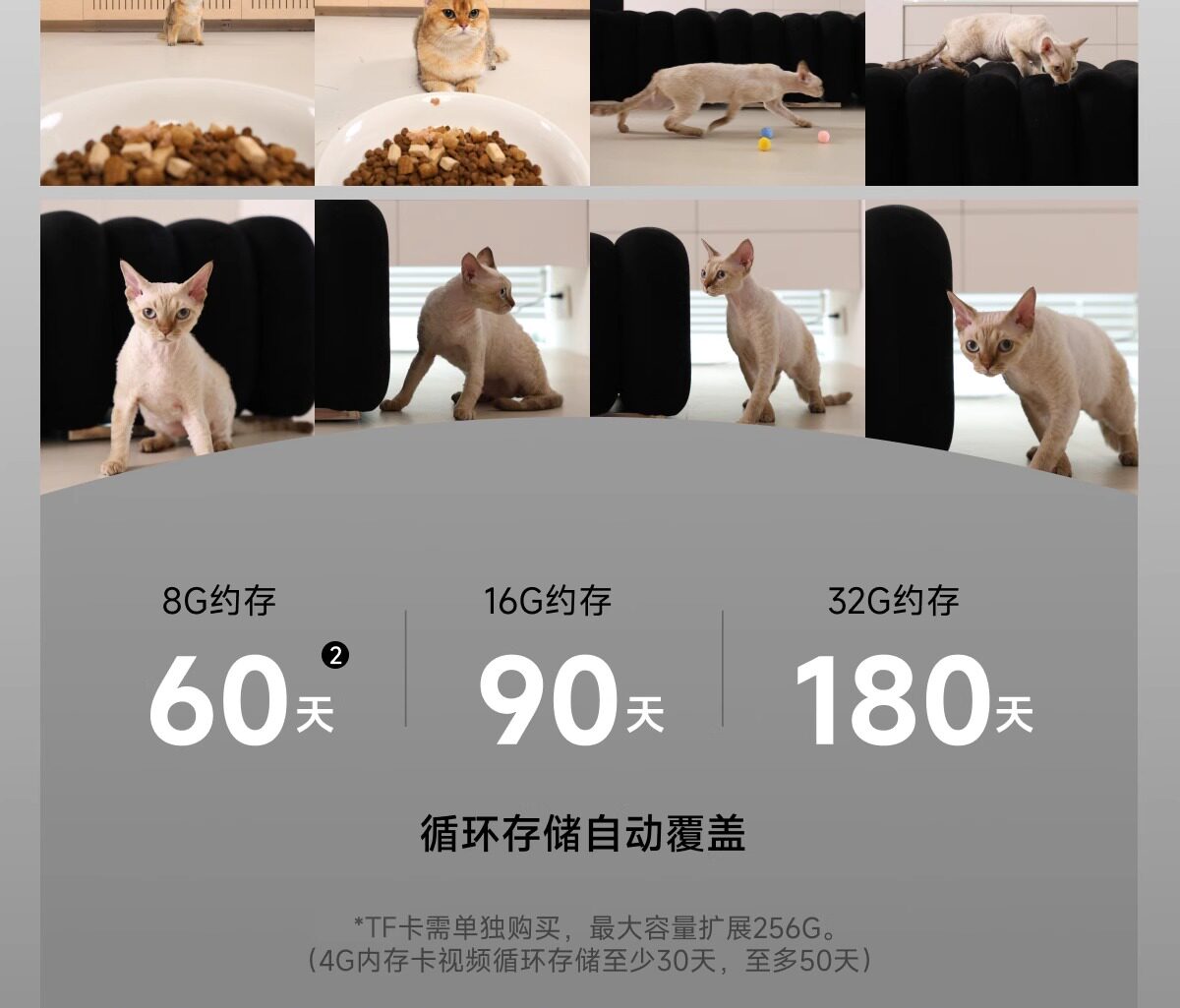 Кормушка с дозатором для кошек и собак meoof觅凹蛋卷自动喂食器猫咪狗狗定时定量自助喂食器摄像头可视