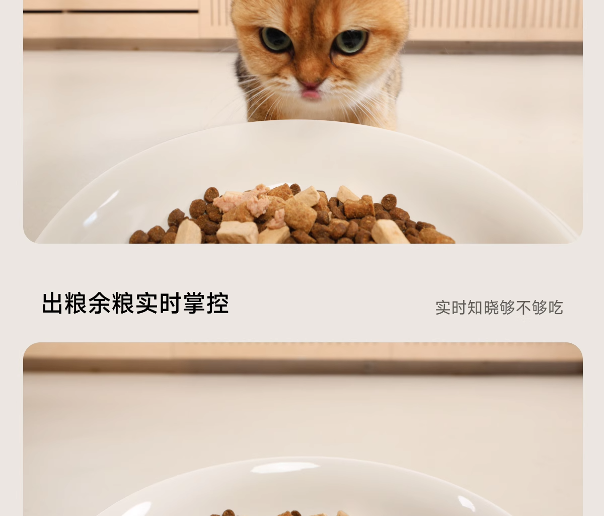Кормушка с дозатором для кошек и собак meoof觅凹蛋卷自动喂食器猫咪狗狗定时定量自助喂食器摄像头可视