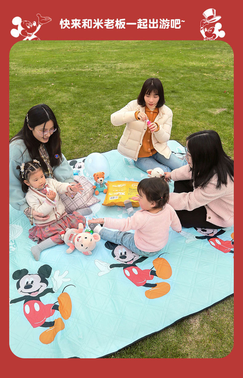 2016 Disney Field Cushion( красный )_02.jpg.