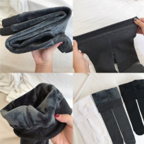 20 Winter New Pint Girl Baby Glint thickened Even pants Sox Childrens elastic warm even foot socks Socks Dance Socks