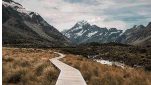 FCPX转场插件50种故障干扰信号差画面损坏抖动转场效果带音效素材-CG资源网 FCPX转场插件50种故障干扰信号差画面损坏抖动转场效果带音效素材