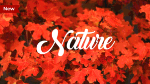 新更新250种视频转场效果特效水墨笔刷故障毛刺推拉模糊-AE模板