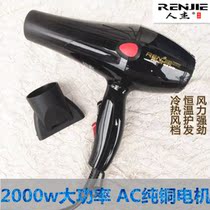 Renjie 811 high-power hot and cold air hair dryer Hair salon silent hair dryer special household hair dryer