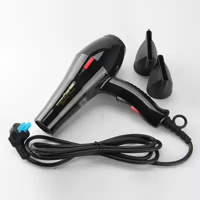 Ren Jie 823 High Power hair dryer pure copper hair salon professional hair dryer RCE-2000W household