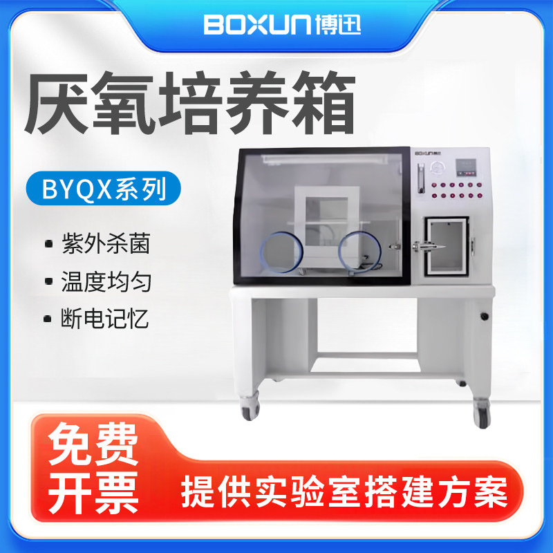 上海博迅 BYQX-I/BXAW-T-D厌氧培养箱BXYG-02厌氧培养系统实验室