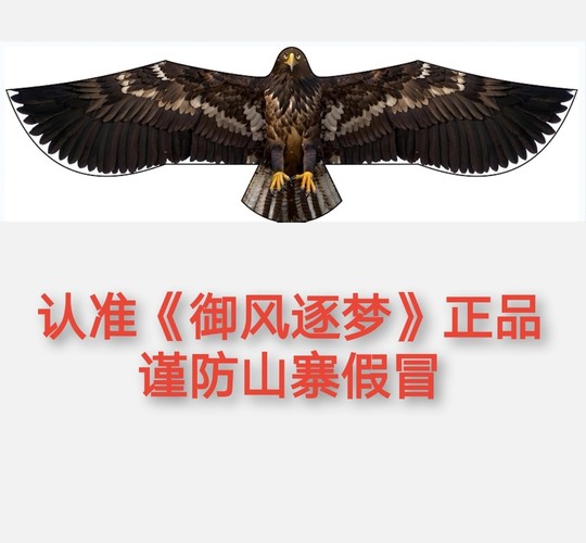 [the Eagle Descends, Technological Breakthrough, Leading Power] Original High-End Umbrella Fabric Carbon Rod Eagle Kite