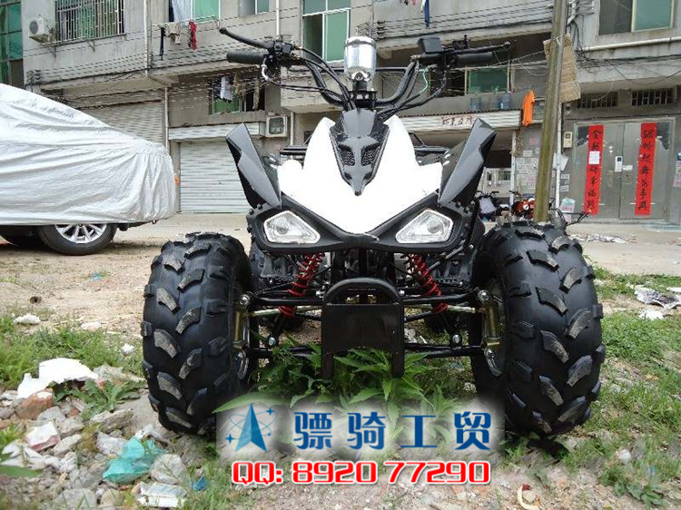 Mới atv sang trọng cấu hình cao nhỏ Mars ATV 110-125cc bốn bánh off-road có thể thay đổi 8 10 12 inch xe máy cho bé