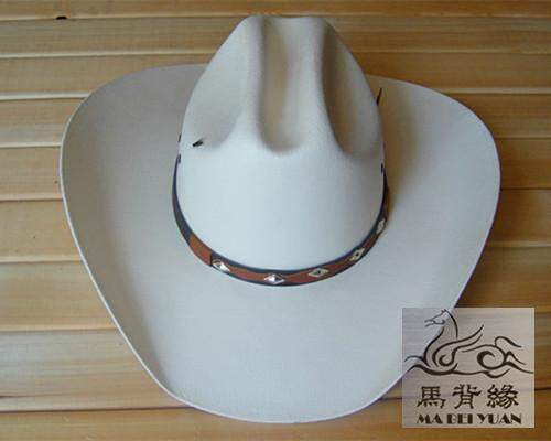 Article sports equestres - Ref 1381972 Image 5