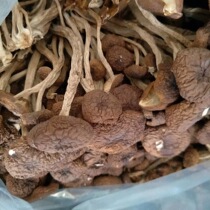 Tea tree mushroom dry goods Super 500g cut root a catty farmhouse pure natural non-open umbrella dry tea tree mushroom