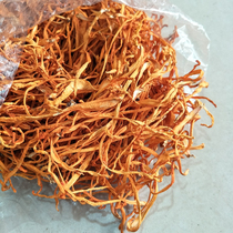 500g Cordyceps flower dry goods Super spore head pupa Golden Cordyceps stew soup Tonic material 1kg