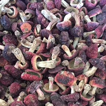 Fujian authentic red mushroom dry goods farm super pure natural wild red vertebra mushroom dried goods 100g
