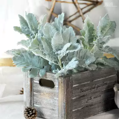 European silver-leaf chrysanthemum simulation plant European-style simulation flower fake floral art with leaf green plant flower arrangement material Nordic decoration