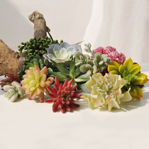 High-grade simulation succulents small potted plants micro-landscape set platter Fake flower stone lotus realistic meat ornaments Buddha beads
