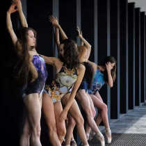 Italian imported Maldire handmade custom printed ballet dance practice body gymnastics yoga suit