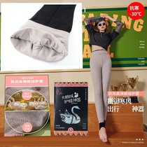 VC1718 winter style large goose down kneecap kneecap with velvety thickened double layer of warm and unscarred first-line crotch female underpants socks