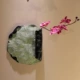Roll Lotus Green Color+Phalaenopsis