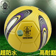Ballon de football - Ref 6841 Image 15