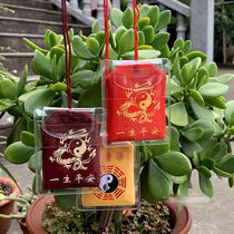 Bag bag with waterproof sheath bag pendant car pendant storage empty bag carry-on sachet