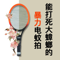  Taiwan Anbao single-layer cockroach electric mosquito swatter non-rechargeable mosquito swatter Strong battery durable mosquito killer hornet fly swatter