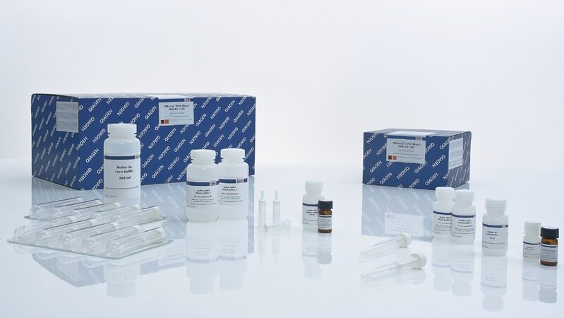 QIAGEN 51183 血液基因组DNA中提试剂盒 QIAampDNABlood Midi 20T