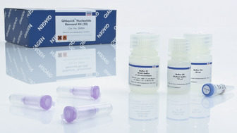 QIAGEN 28304 DNA提取试剂盒  QIAquick Nucleotide Removal  50T