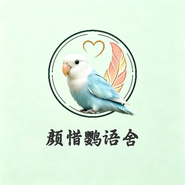 手养鹦鹉工作室