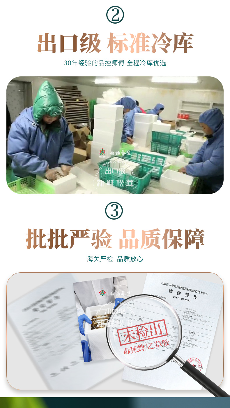 云南白药 出口级 云南野生鲜松茸礼盒 500g 6-8cm 图5
