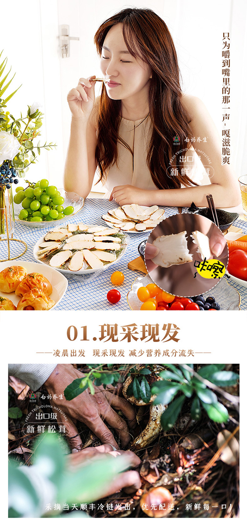 云南白药 出口级 云南野生鲜松茸礼盒 500g 6-8cm 图7