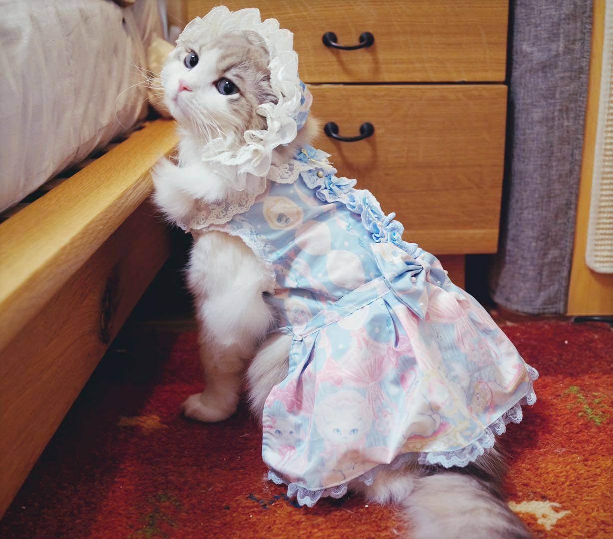 You know I know that (don't ask nothing)