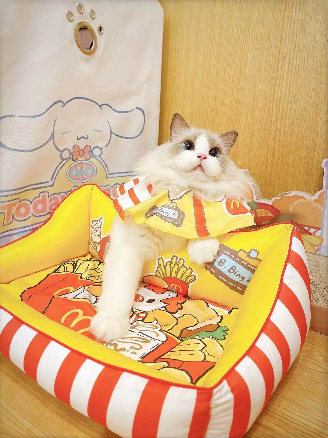 Kitty's wheat when ~ couch spat chicken ultra light chicken ~ spot 3 days hairless and no change