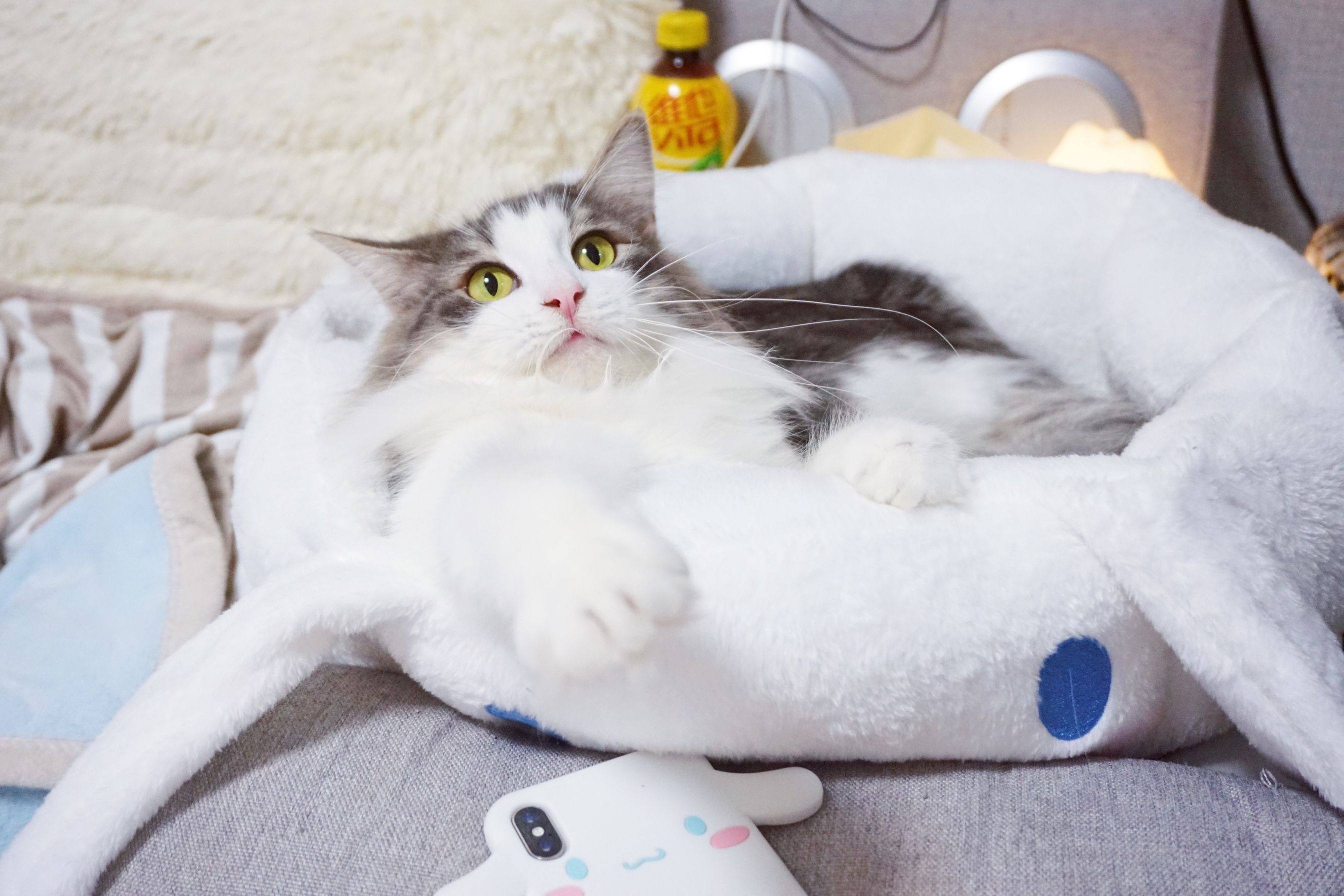 Warm Winter Round Nest (Non-Refundable) Reservation