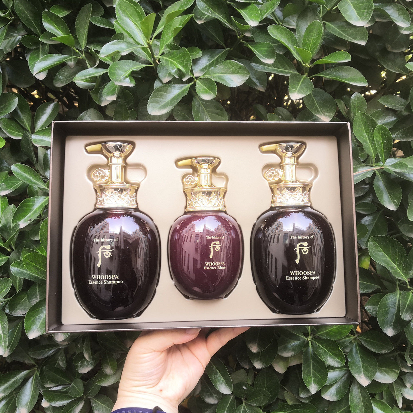 Recommended Korea Whoo post-zine rate Enjoy Shampoo Hair film Single Hair Care Hair Loss Kit Boxes Oily Neutral Hair repair