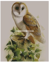 11698 Animal Owl 300-379-90 Cross-stitch redraw source file