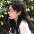 侧柏叶草本生发