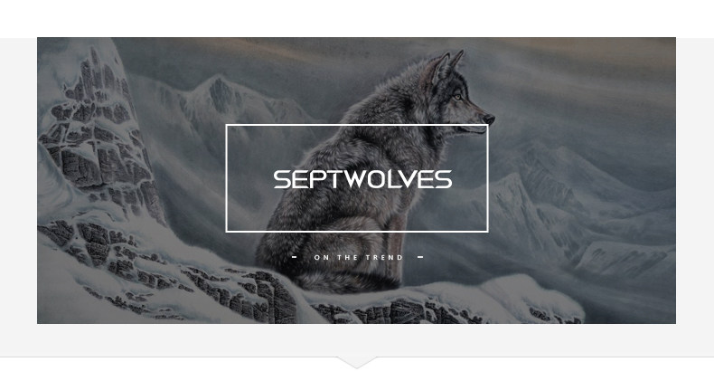 Blouson homme SEPTWOLVES    manches longues en Polyester - Ref 3118018 Image 25