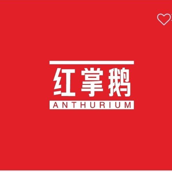 红掌鹅图书直销店
