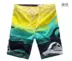 Úc Quicksilver Classic Quần short nam bãi biển 2018 Double 12 Hot sale quần short thô nam Quần short