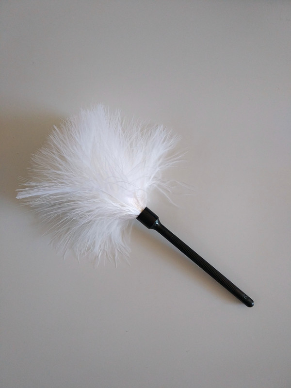 Feather brush plastic pole feather fingerprint brush penal fingerprint brush precision instrument brush