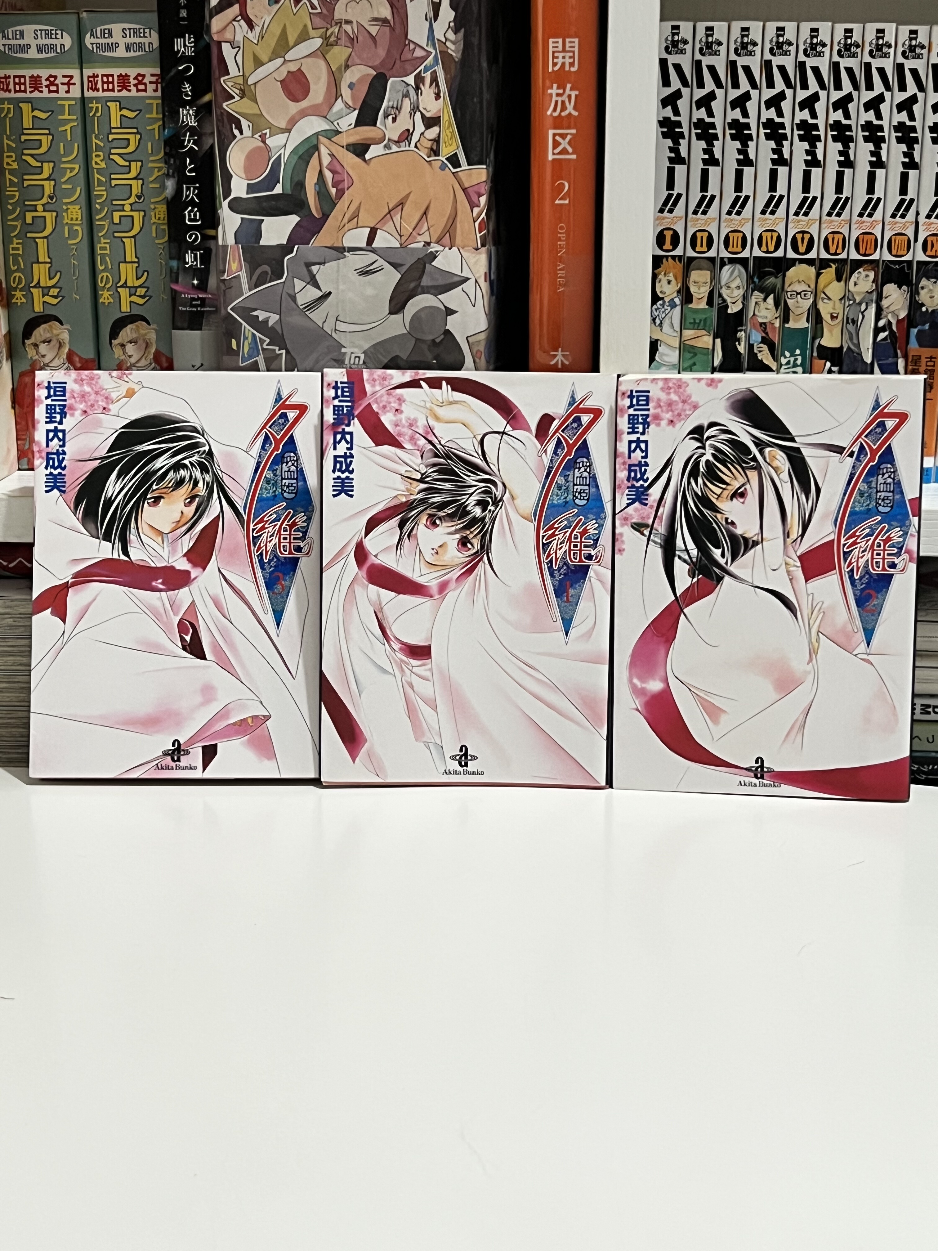 垣野内成美 吸血姫シリーズ 37冊 まとめ売り 垣野内成美 吸血姫シリーズ 37冊 まとめ売り - メルカリ