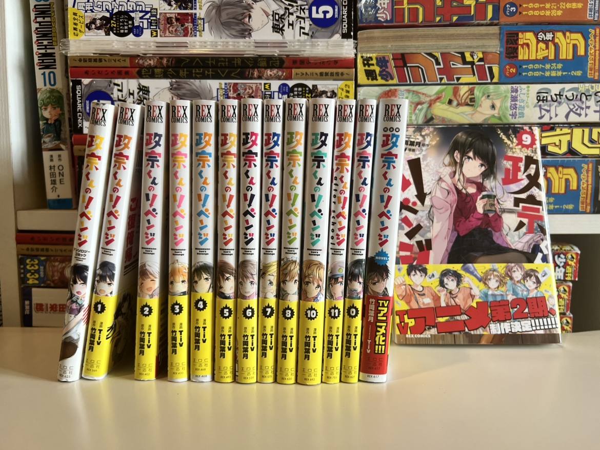 政宗君的复仇小说全卷