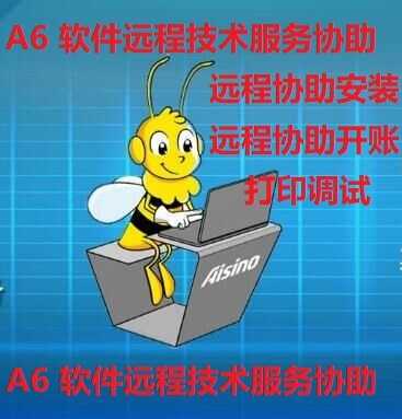 Aerospace Information A6A3 Financial Software Remote Service/Reinstallation/Printing Debugging/A3A6 Technical Service