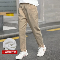 09 Khaki [добавить бархат] большой или нет жира, высота прессы
