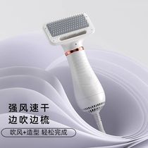 Pet hair dryer all-in-one quick-drying Bichon Teddy fluffy comb cat and dog bathing and blowing comb artifact