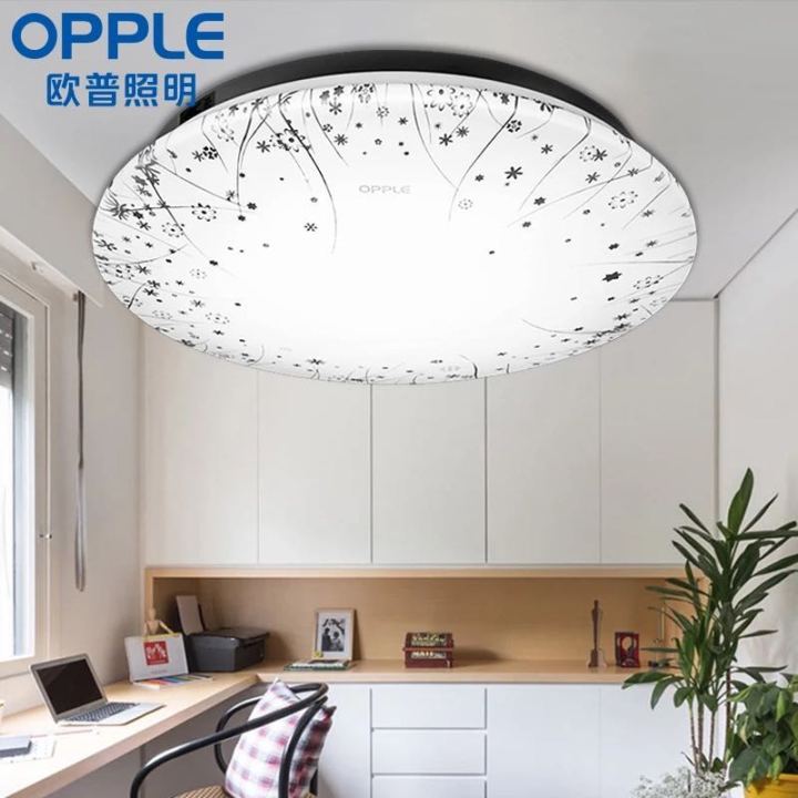 Opp 420 bedroom with a ceiling light fireworks grass
