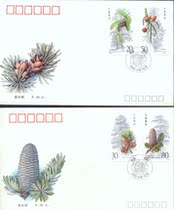 1992-3 Cedar (head office First Day Cover)