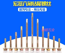 Macro External Hexagon Drilling Tail Screw Glitter Drill Self Drilling Self Tapping Color Zinc Color Steel Tile Dovetailed Silk Nail SZ4 6 4 8