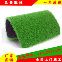 Dongguan Anti-Real Lawn Carpet Artificial Fake Turf Artificial Turf Artificial Plastic Kindergarten Outdoor Playground Green Building Top Grass Mat