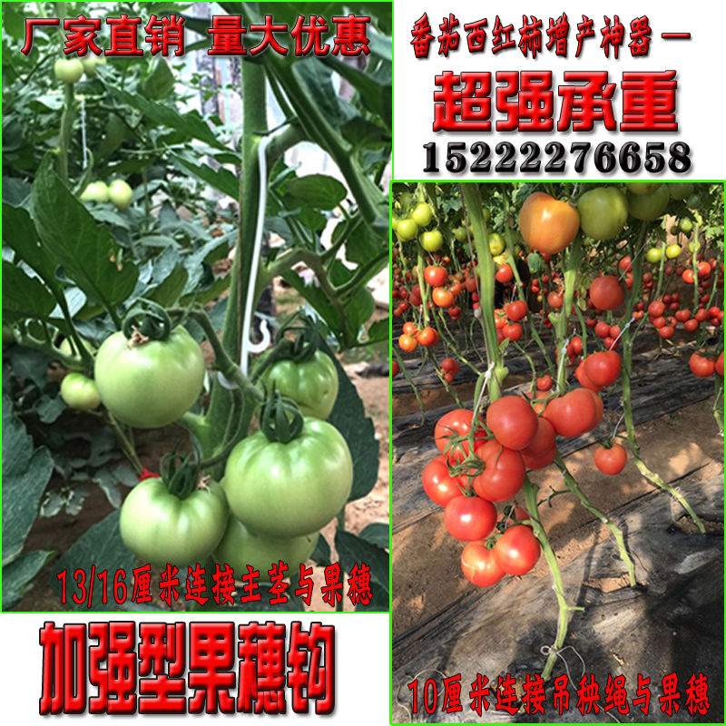 Fruit Ear Hook Tomato Tomato Hook Pendant Spike Hook Plastic Reinforced Hung Fruit Hook Hang Cranberry Hook Fruit Spike Hook